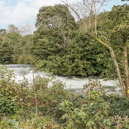 Lägenhet Watch Tree