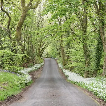 Lägenhet Watch Tree *