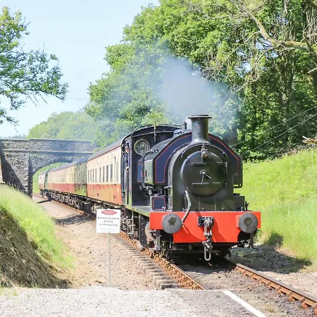 Watch Tree * Ulverston